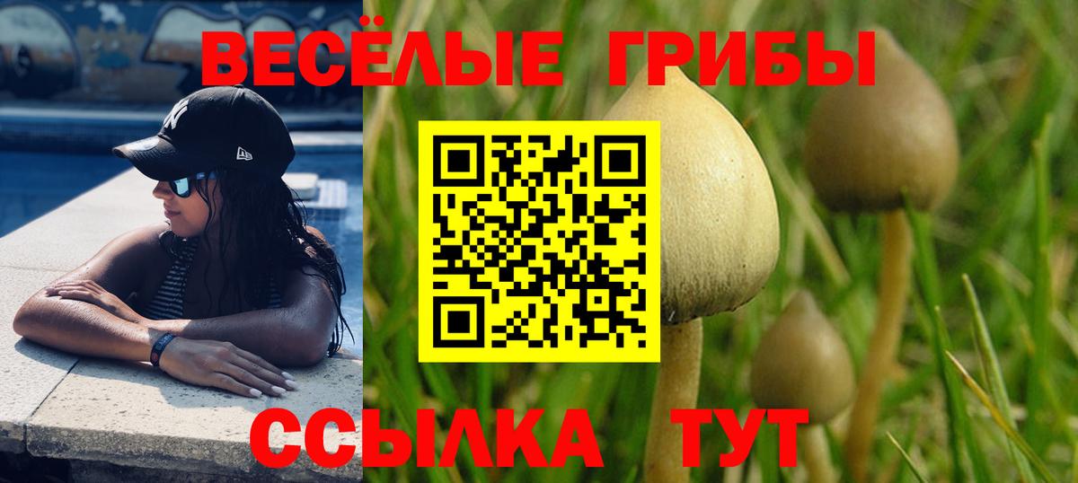 Галлюциногенные грибы MAGIC MUSHROOMS Фрязино